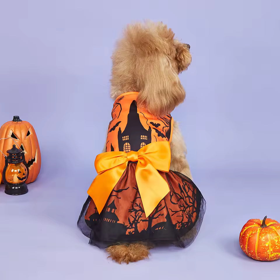 Dress Costume