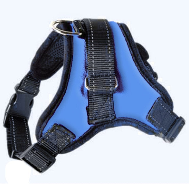 Kibbley Harness