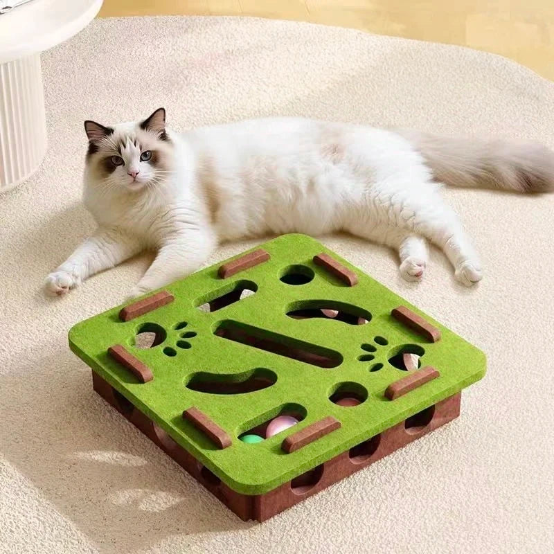 Maze puzzle