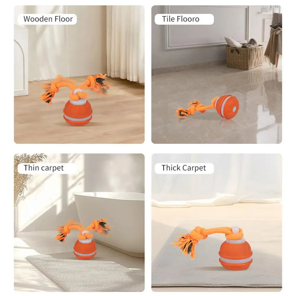 Interactive ball