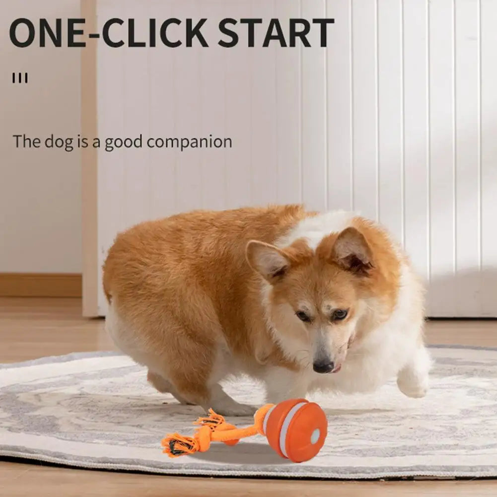 Interactive ball