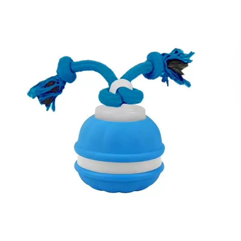 Interactive ball