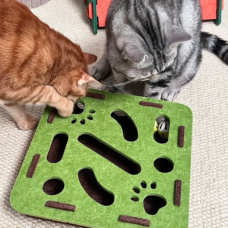 Maze puzzle