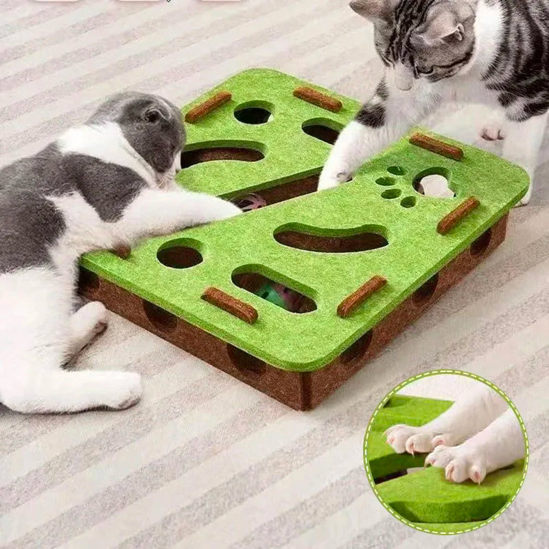 Maze puzzle