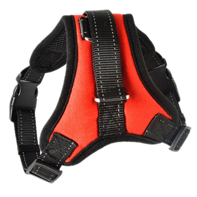 Kibbley Harness