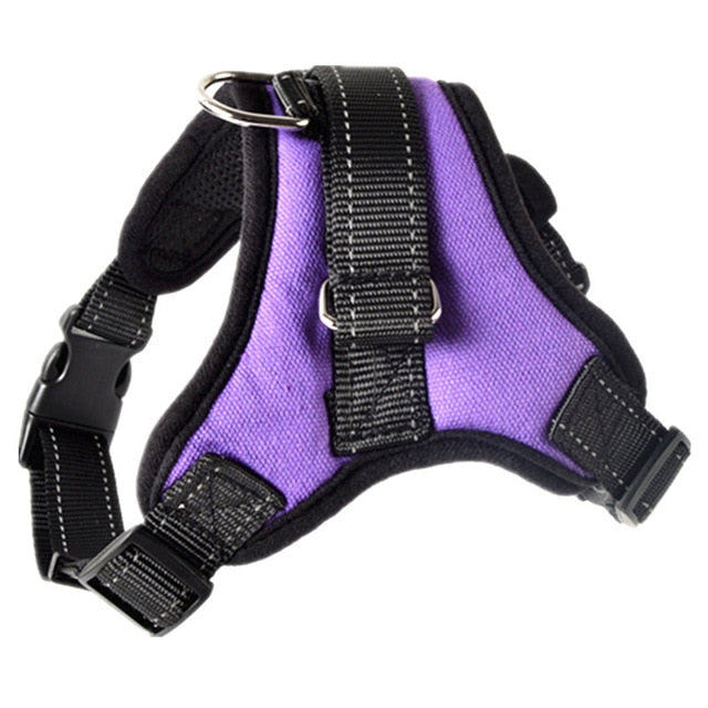 Kibbley Harness