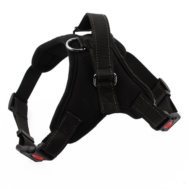 Kibbley Harness