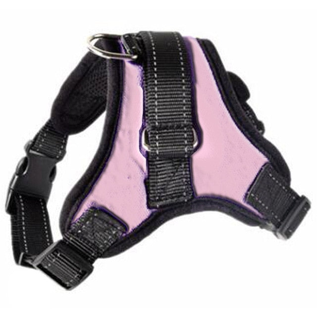 Kibbley Harness