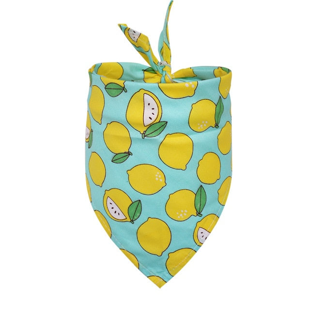 Fruity bandana